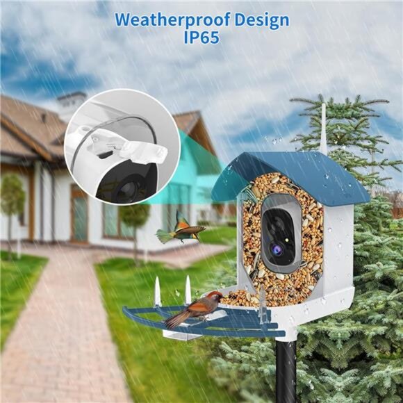 Bird Feeder with Camera,AI Identify Birds Species,Smart Bird Camera with Solar - Picture 4 of 8